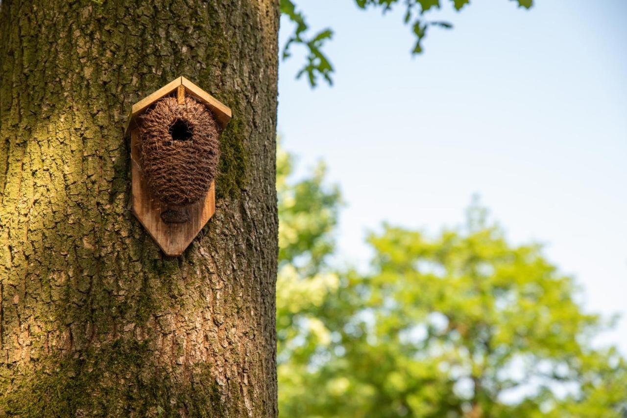 Nature Hideout At Veluwe Nature Park Putten Bagian luar foto